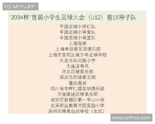 中等水平足球球员年薪解析及其背后的市场因素分析